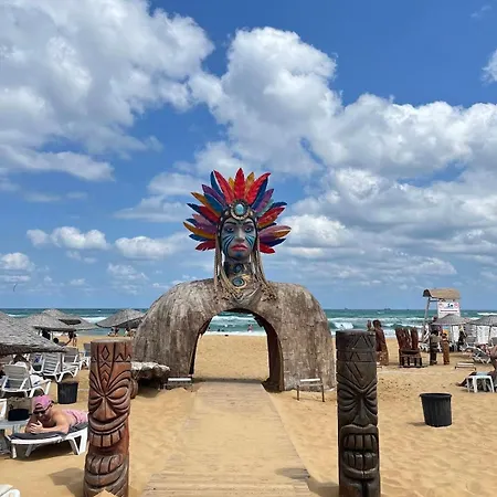 캠프장 Goga 이스탄불