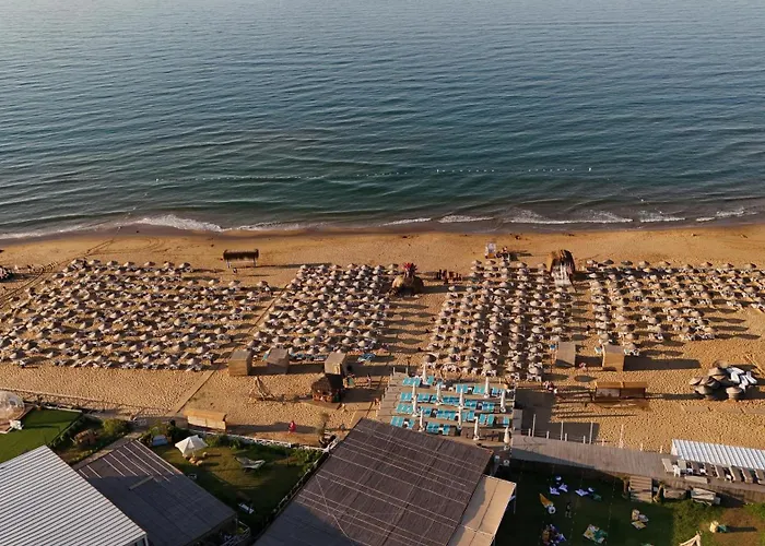 Goga * Стамбул