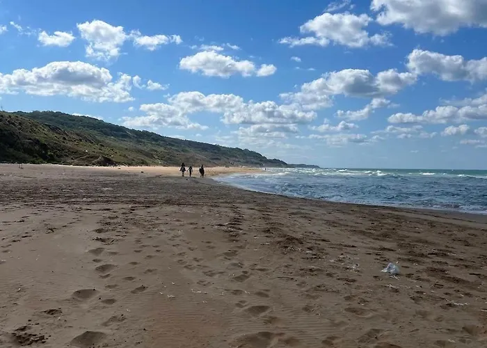 Goga * Стамбул