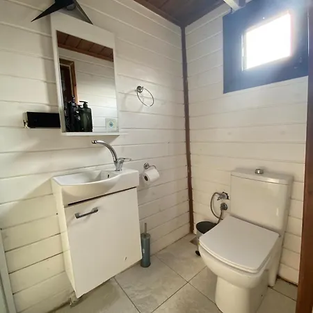 Goga